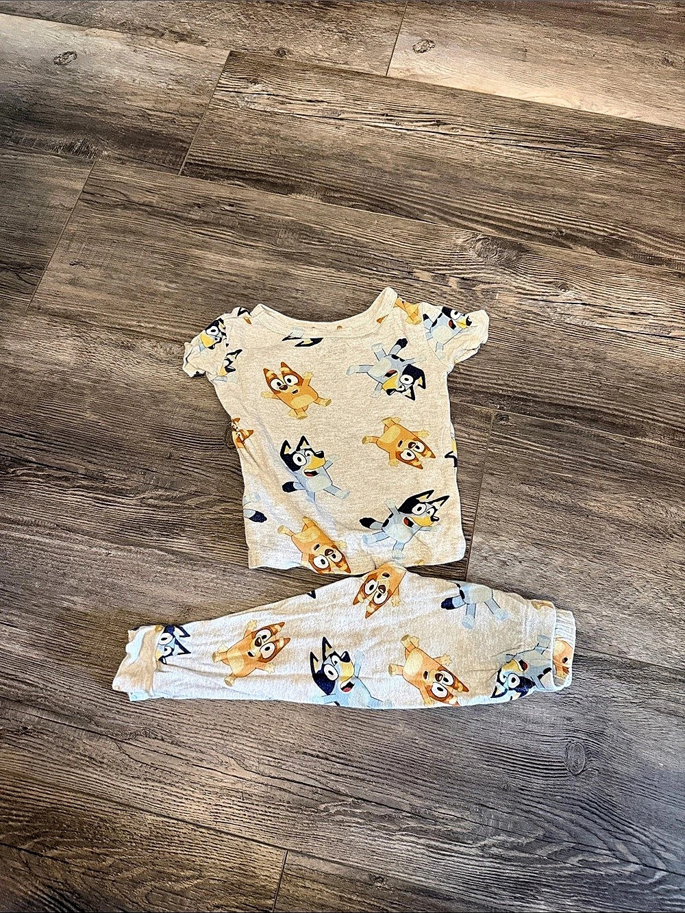 Bluey Toddler Character Print 2-Piece Pajama Set Girls 2T Gray & Orange